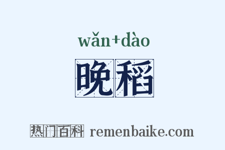 晚稻是什么意思的图片